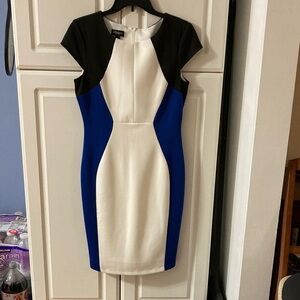 Chaya Elegant Black, Blue, and White Mini Dress